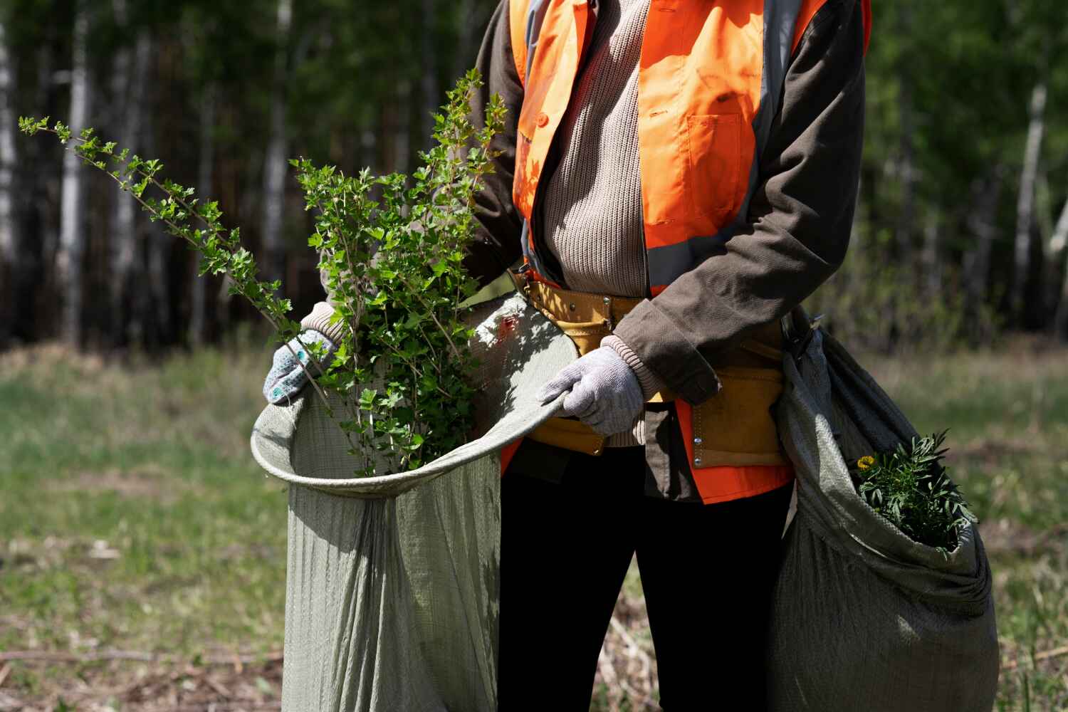 Reliable Dublin, GA Tree Service Solutions